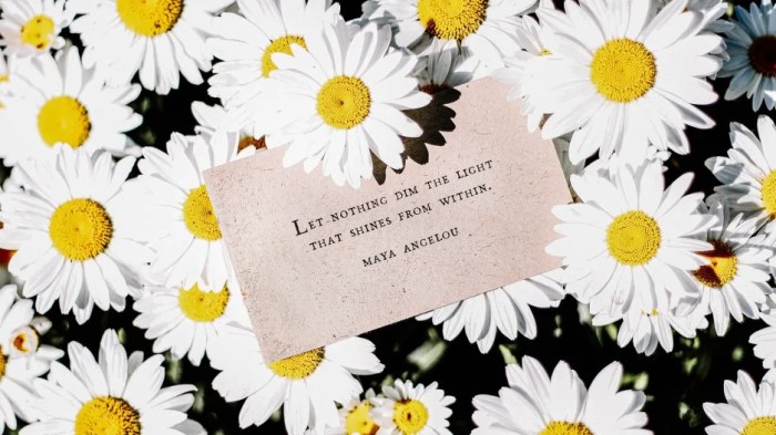 The Poet's List - Poet - Poetry News Spokenword Video - Fast Company - Coronavirus - Maya Angelou - UnSplash