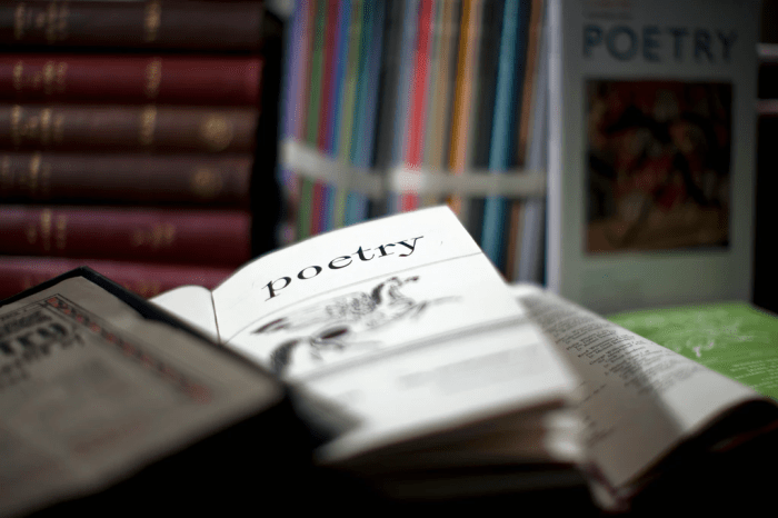 The Poet's List - Poet - Poetry News Spokenword Video - The Intercept - Poetry Magazine
