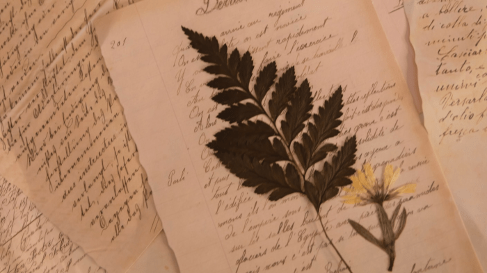 The Poet's List - Poet - Poetry News Spokenword Video - Singularity Hub - Artificial Intelligence - AI - Sylvia Plath - Nature Scientific Reports